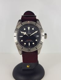 Tudor Black bay steel